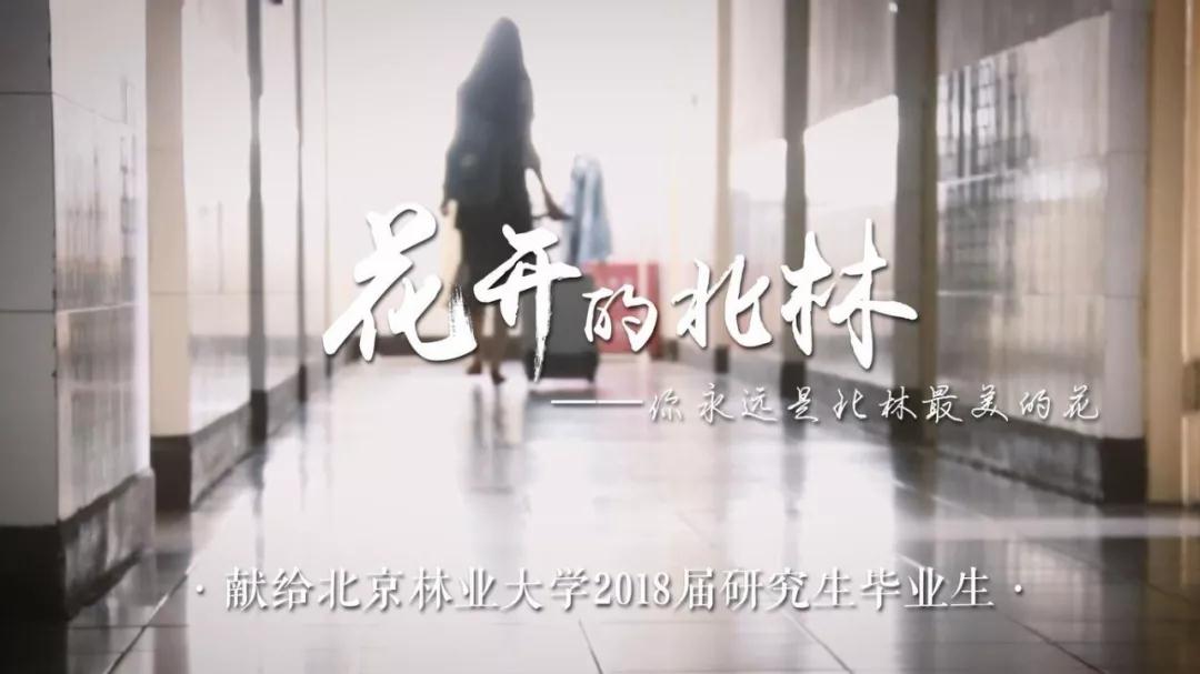 《花开的北林》| 北京林业大学2018届研究生毕业MV正式发布